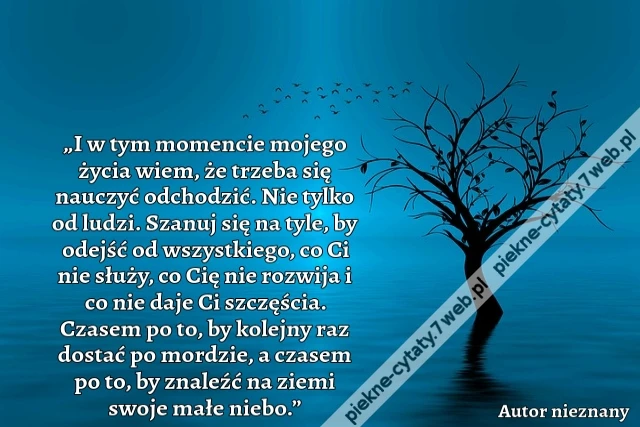 „I w tym momencie mojego życia wiem, że trzeba się nauczyć odchodzić. Nie tylko od ludzi. Szanuj się na tyle, by odejść od wszystkiego, co Ci nie służy, co Cię nie rozwija i co nie daje Ci szczęścia. Czasem po to, by kolejny raz dostać po mordzie, a czase