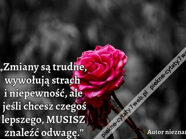 „Zmiany są trudne, wywołują strach i niepewność, ale jeśli chcesz czegoś lepszego, MUSISZ znaleźć odwagę.”