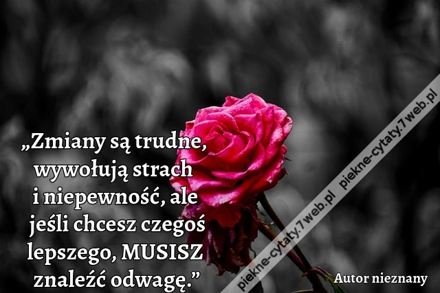 „Zmiany są trudne, wywołują strach i niepewność, ale jeśli chcesz czegoś lepszego, MUSISZ znaleźć odwagę.”