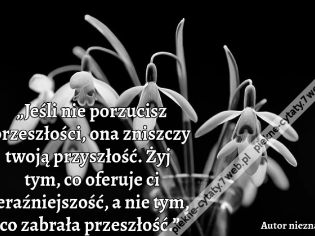 „Jeśli nie porzucisz przeszłości, ona zniszczy twoją przyszłość. Żyj tym, co oferuje ci teraźniejszość, a nie tym, co zabrała przeszłość.”
