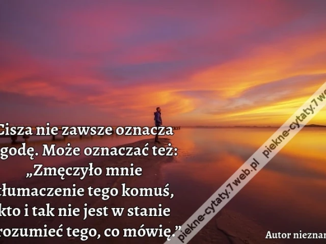 Cisza nie zawsze oznacza zgodę. Może oznaczać też: „Zmęczyło mnie tłumaczenie tego komuś, kto i tak nie jest w stanie zrozumieć tego, co mówię.”