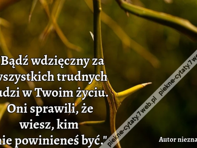 Bądź wdzięczny za wszystkich trudnych ludzi w Twoim życiu. Oni sprawili, że wiesz, kim nie powinieneś być.