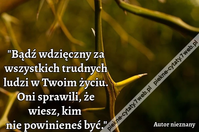 Bądź wdzięczny za wszystkich trudnych ludzi w Twoim życiu. Oni sprawili, że wiesz, kim nie powinieneś być.