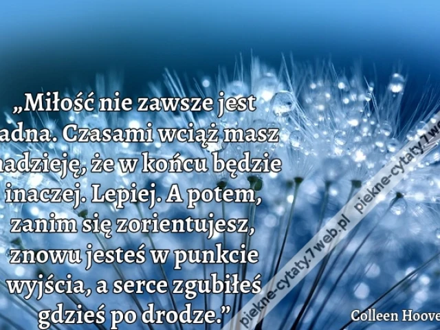 „Miłość nie zawsze jest ładna. Czasami wciąż masz nadzieję, że w końcu będzie inaczej. Lepiej. A potem, zanim się zorientujesz, znowu jesteś w punkcie wyjścia, a serce zgubiłeś gdzieś po drodze.”