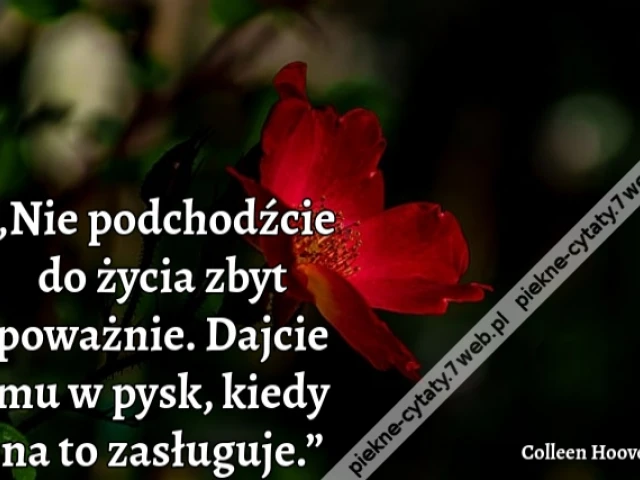 „Nie podchodźcie do życia zbyt poważnie. Dajcie mu w pysk, kiedy na to zasługuje.”