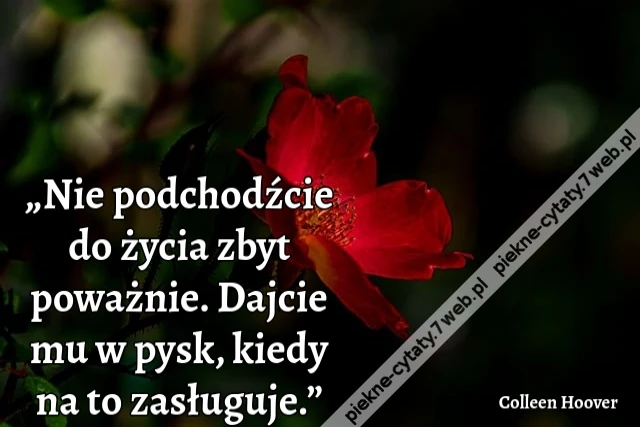 „Nie podchodźcie do życia zbyt poważnie. Dajcie mu w pysk, kiedy na to zasługuje.”
