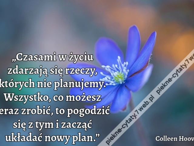 „Czasami w życiu zdarzają się rzeczy, których nie planujemy. Wszystko, co możesz teraz zrobić, to pogodzić się z tym i zacząć układać nowy plan.”