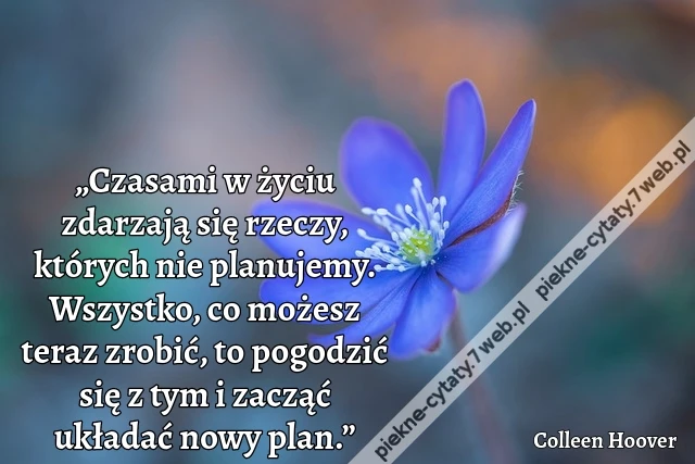 „Czasami w życiu zdarzają się rzeczy, których nie planujemy. Wszystko, co możesz teraz zrobić, to pogodzić się z tym i zacząć układać nowy plan.”