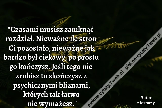 "Czasami musisz zamknąć rozdział. Nieważne ile stron Ci pozostało, nieważne jak bardzo był ciekawy, po prostu go kończysz. Jeśli tego nie zrobisz to skończysz z psychicznymi bliznami, których tak łatwo nie wymażesz."