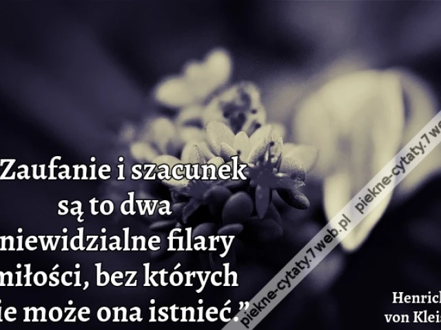 „Zaufanie i szacunek są to dwa niewidzialne filary miłości, bez których nie może ona istnieć.”