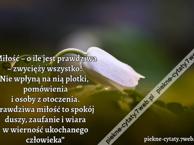 „Miłość – o ile jest prawdziwa – zwycięży wszystko! Nie wpłyną na nią plotki, pomówienia i osoby z otoczenia. Prawdziwa miłość to spokój duszy, zaufanie i wiara w wierność ukochanego człowieka” ~ piekne-cytaty.7web.pl