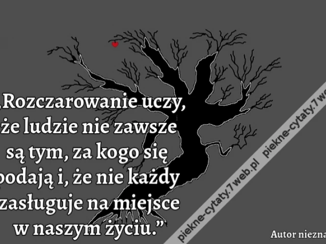 „Rozczarowanie uczy, że ludzie nie zawsze są tym, za kogo się podają i, że nie każdy zasługuje na miejsce w naszym życiu.”