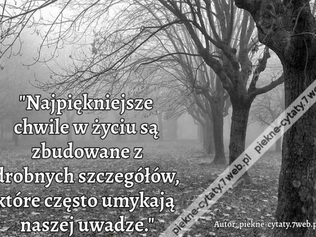 "Najpiękniejsze chwile w życiu są zbudowane z drobnych szczegółów, które często umykają naszej uwadze."