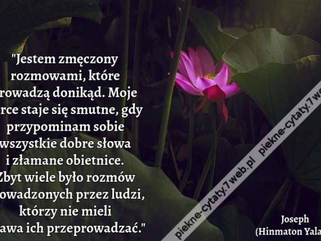 "Jestem zmęczony rozmowami, które prowadzą donikąd. Moje serce staje się smutne, gdy przypominam sobie wszystkie dobre słowa i złamane obietnice. Zbyt wiele było rozmów prowadzonych przez ludzi, którzy nie mieli prawa ich przeprowadzać."