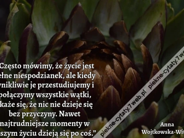 “Często mówimy, że życie jest pełne niespodzianek, ale kiedy wnikliwie je przestudiujemy i połączymy wszystkie wątki, okaże się, że nic nie dzieje się bez przyczyny. Nawet najtrudniejsze momenty w naszym życiu dzieją się po coś.”