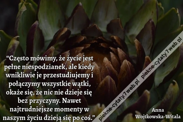 “Często mówimy, że życie jest pełne niespodzianek, ale kiedy wnikliwie je przestudiujemy i połączymy wszystkie wątki, okaże się, że nic nie dzieje się bez przyczyny. Nawet najtrudniejsze momenty w naszym życiu dzieją się po coś.”