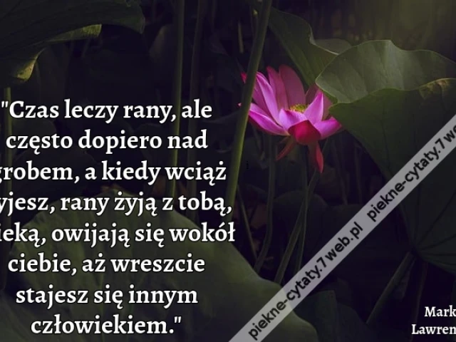 „Czas leczy rany, ale często dopiero nad grobem, a kiedy wciąż żyjesz, rany żyją z tobą, pieką, owijają się wokół ciebie, aż wreszcie stajesz się innym człowiekiem”