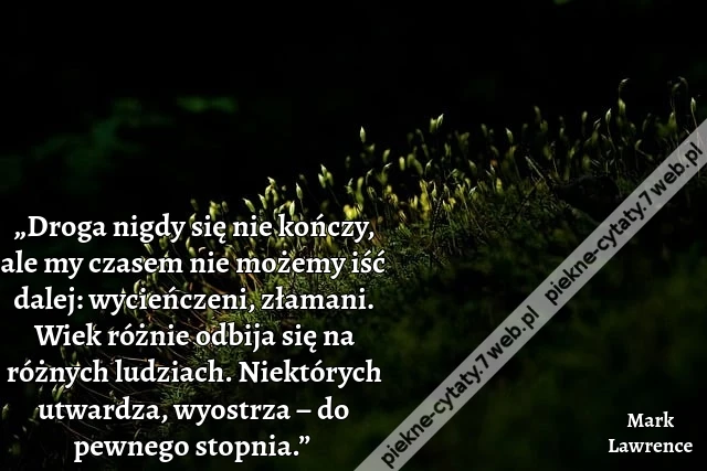 „Droga nigdy się nie kończy, ale my czasem nie możemy iść dalej: wycieńczeni, złamani. Wiek różnie odbija się na różnych ludziach. Niektórych utwardza, wyostrza – do pewnego stopnia.”