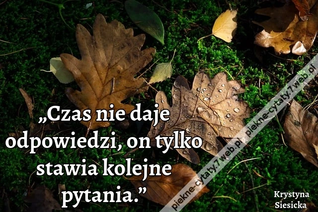 „Czas nie daje odpowiedzi, on tylko stawia kolejne pytania.”