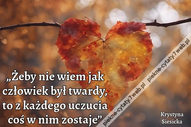 „Żeby nie wiem jak człowiek był twardy, to z każdego uczucia coś w nim zostaje”
