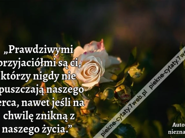 „Prawdziwymi przyjaciółmi są ci, którzy nigdy nie opuszczają naszego serca, nawet jeśli na chwilę znikną z naszego życia.”