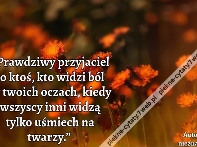 „Prawdziwy przyjaciel to ktoś, kto widzi ból w twoich oczach, kiedy wszyscy inni widzą tylko uśmiech na twarzy.”i
