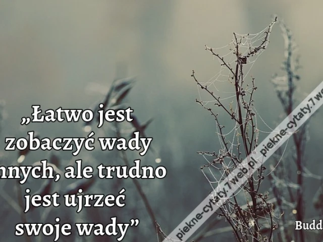 „Łatwo jest zobaczyć wady innych, ale trudno jest ujrzeć swoje wady”