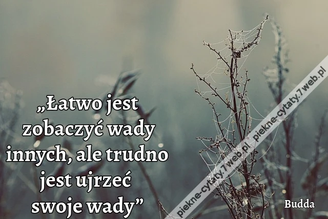 „Łatwo jest zobaczyć wady innych, ale trudno jest ujrzeć swoje wady”