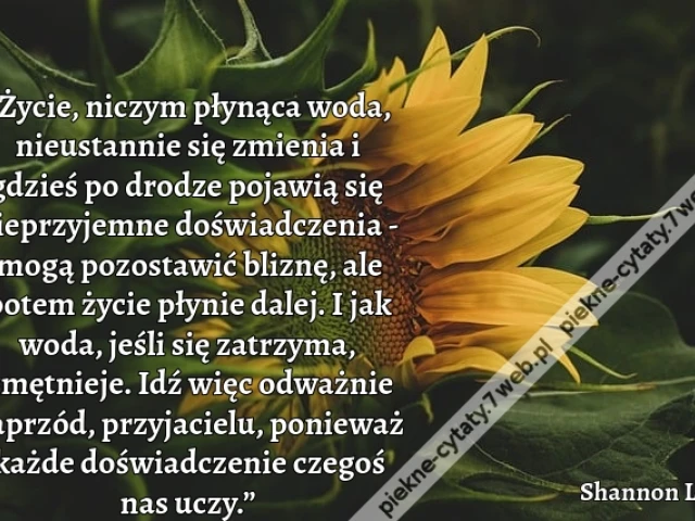 „Życie, niczym płynąca woda, nieustannie się zmienia i gdzieś po drodze pojawią się nieprzyjemne doświadczenia - mogą pozostawić bliznę, ale potem życie płynie dalej. I jak woda, jeśli się zatrzyma, zmętnieje. Idź więc odważnie naprzód, przyjacielu, ponie