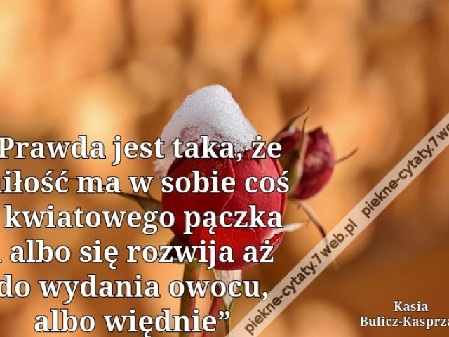 „Praw­da jest taka, że mi­łość ma w sobie coś z kwia­to­we­go pącz­ka i albo się roz­wi­ja aż do wy­da­nia owocu, albo więd­nie”