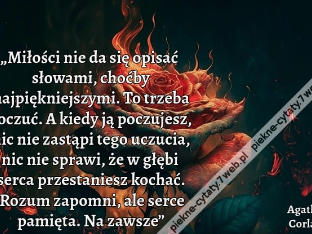 „Miłości nie da się opisać słowami, choćby najpiękniejszymi. To trzeba poczuć. A kiedy ją poczujesz, nic nie zastąpi tego uczucia, nic nie sprawi, że w głębi serca przestaniesz kochać. Rozum zapomni, ale serce pamięta. Na zawsze”