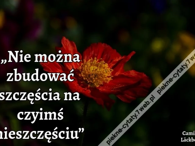 „Nie można zbudować szczęścia na czyimś nieszczęściu”