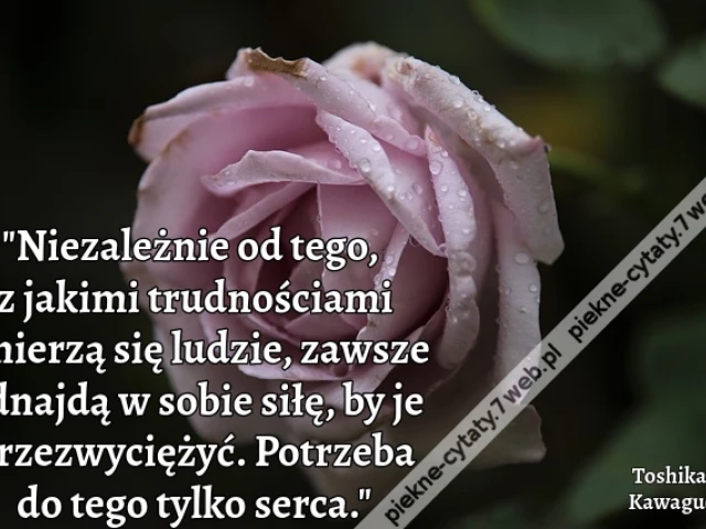 Niezależnie od tego, z jakimi trudnościami zmierzą się ludzie, zawsze odnajdą w sobie siłę, by je przezwyciężyć. Potrzeba do tego tylko serca.