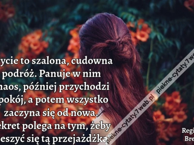 życie to szalona, cudowna podróż. Panuje w nim chaos, później przychodzi spokój, a potem wszystko zaczyna się od nowa. Sekret polega na tym, żeby cieszyć się tą przejażdżką
