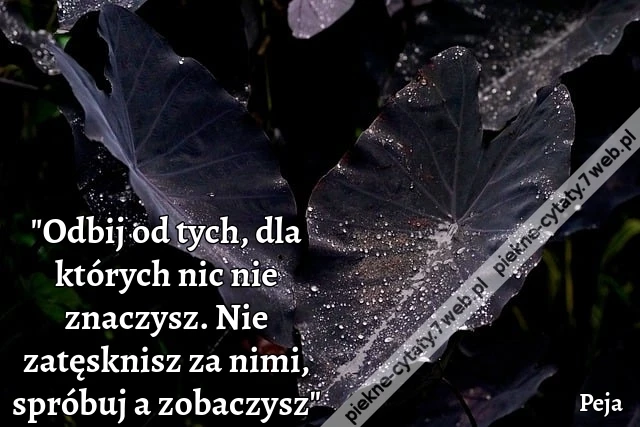 Odbij od tych, dla których nic nie znaczysz. Nie zatęsknisz za nimi, spróbuj a zobaczysz - Peja