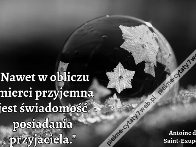 Nawet w obliczu śmierci przyjemna jest świadomość posiadania przyjaciela.