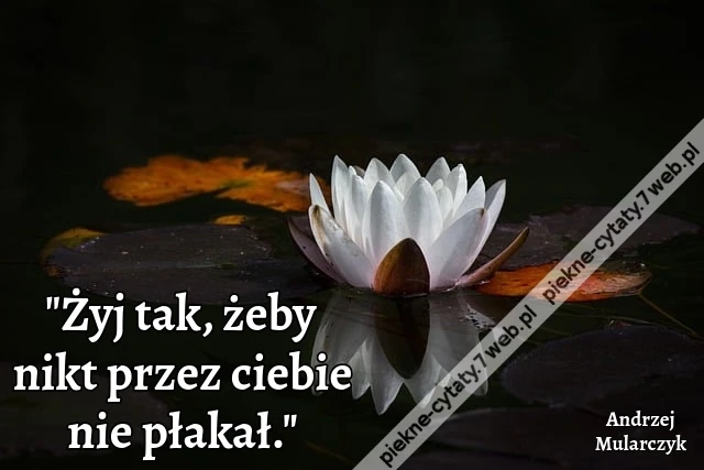 Żyj tak, żeby nikt przez ciebie nie płakał.
