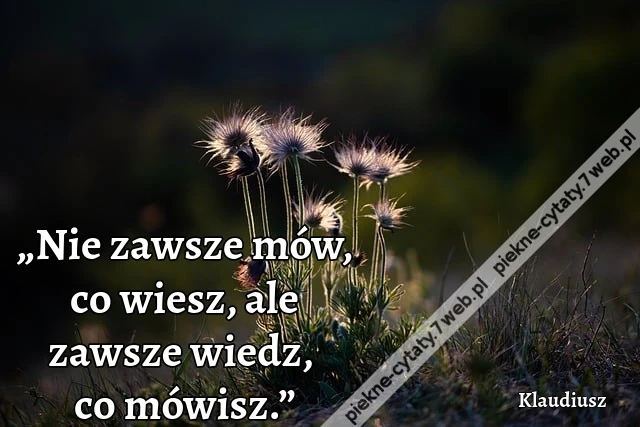 „Nie zawsze mów, co wiesz, ale zawsze wiedz, co mówisz.”