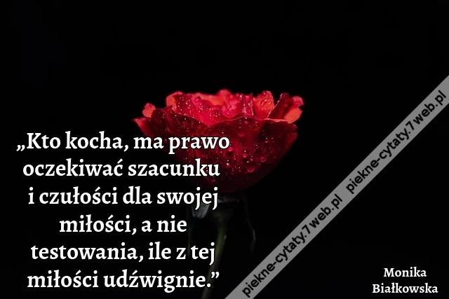 „Kto kocha, ma prawo oczekiwać szacunku i czułości dla swojej miłości, a nie testowania, ile z tej miłości udźwignie.”