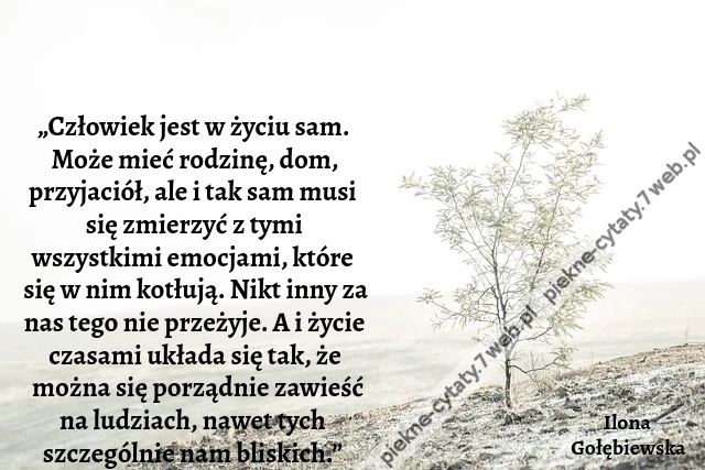 „Człowiek jest w życiu sam. Może mieć rodzinę, dom, przyjaciół, ale i tak sam musi się zmierzyć z tymi wszystkimi emocjami, które się w nim kotłują. Nikt inny za nas tego nie przeżyje. A i życie czasami układa się tak, że można się porządnie zawieść na lu