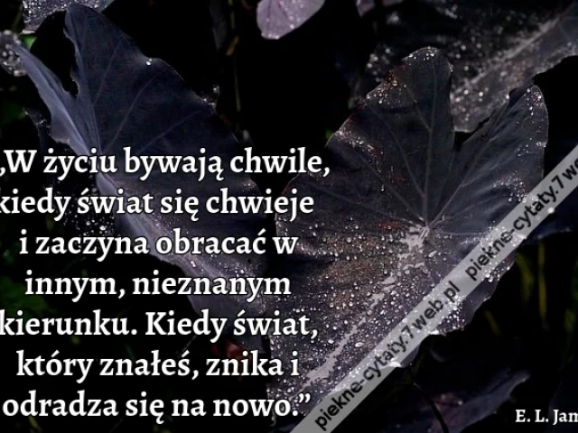 „W życiu bywają chwile, kiedy świat się chwieje i zaczyna obracać w innym, nieznanym kierunku. Kiedy świat, który znałeś, znika i odradza się na nowo.”