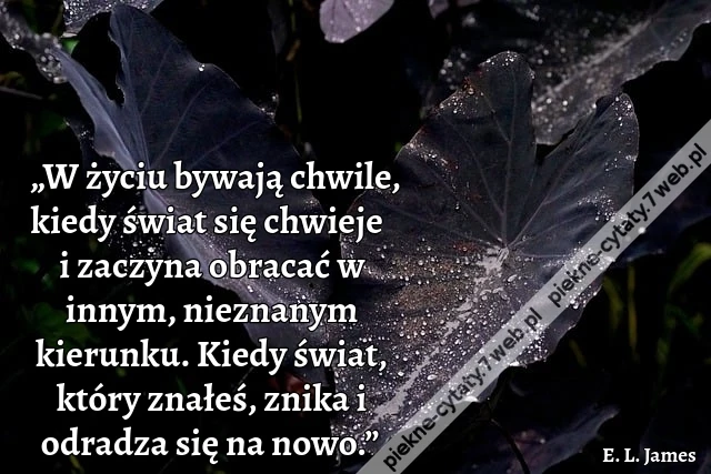 „W życiu bywają chwile, kiedy świat się chwieje i zaczyna obracać w innym, nieznanym kierunku. Kiedy świat, który znałeś, znika i odradza się na nowo.”
