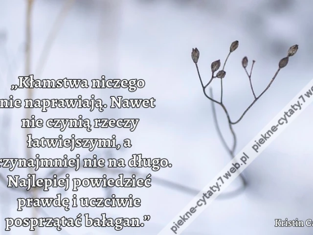 „Kłamstwa niczego nie naprawiają. Nawet nie czynią rzeczy łatwiejszymi, a przynajmniej nie na długo. Najlepiej powiedzieć prawdę i uczciwie posprzątać bałagan.”