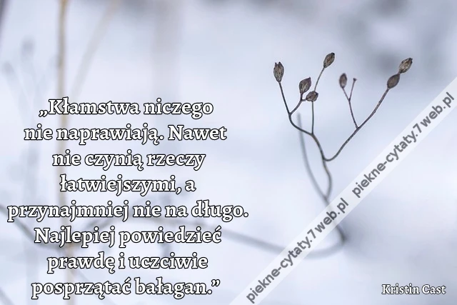 „Kłamstwa niczego nie naprawiają. Nawet nie czynią rzeczy łatwiejszymi, a przynajmniej nie na długo. Najlepiej powiedzieć prawdę i uczciwie posprzątać bałagan.”