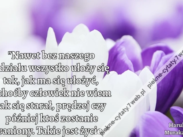 Nawet bez naszego udziału wszystko ułoży się tak, jak ma się ułożyć, i choćby człowiek nie wiem jak się starał, prędzej czy później ktoś zostanie zraniony. Takie jest życie.