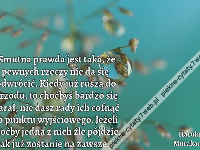 Smutna prawda jest taka, że pewnych rzeczy nie da się odwrócić. Kiedy już ruszą do przodu, to choćbyś bardzo się starał, nie dasz rady ich cofnąć do punktu wyjściowego. Jeżeli choćby jedna z nich źle pójdzie, tak już zostanie na zawsze.