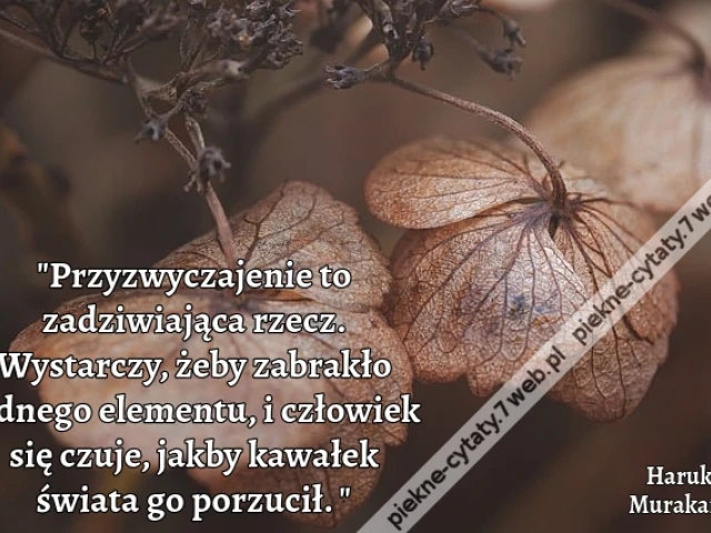 Przyzwyczajenie to zadziwiająca rzecz. Wystarczy, żeby zabrakło jednego elementu, i człowiek się czuje, jakby kawałek świata go porzucił.