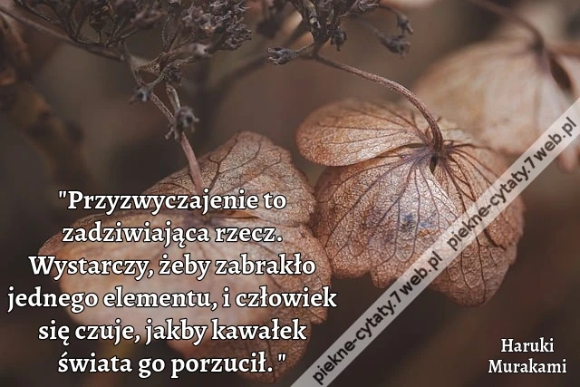 Przyzwyczajenie to zadziwiająca rzecz. Wystarczy, żeby zabrakło jednego elementu, i człowiek się czuje, jakby kawałek świata go porzucił.