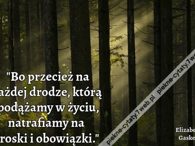 Bo przecież na każdej drodze, którą podążamy w życiu, natrafiamy na troski i obowiązki.