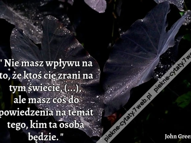 Nie masz wpływu na to, że ktoś cię zrani na tym świecie, staruszku, ale masz coś do powiedzenia na temat tego, kim ta osoba będzie.